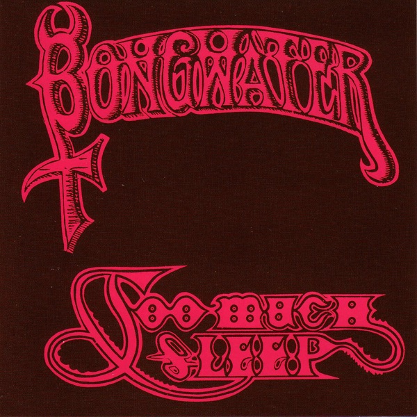 Too Much Sleep album cover