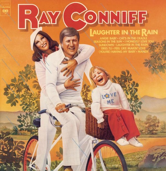 Laughter In the Rain album cover