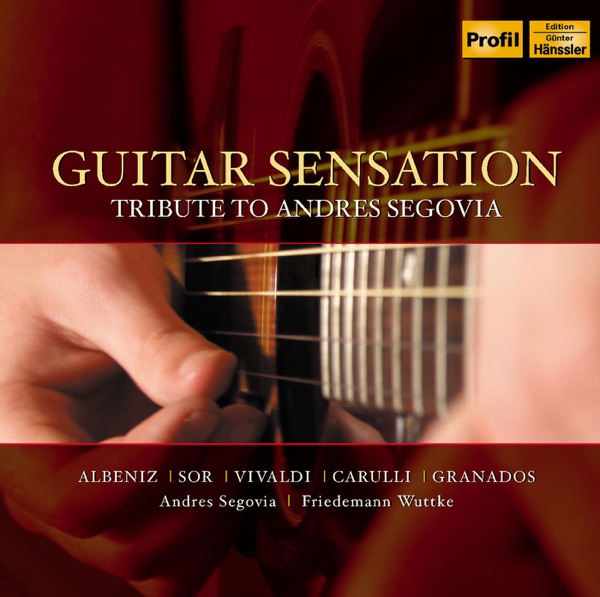 Guitar Sensation album cover