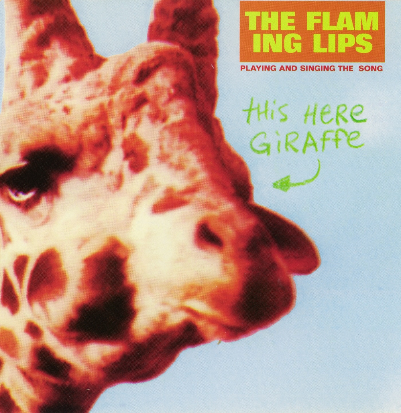 This Here Giraffe - EP album cover
