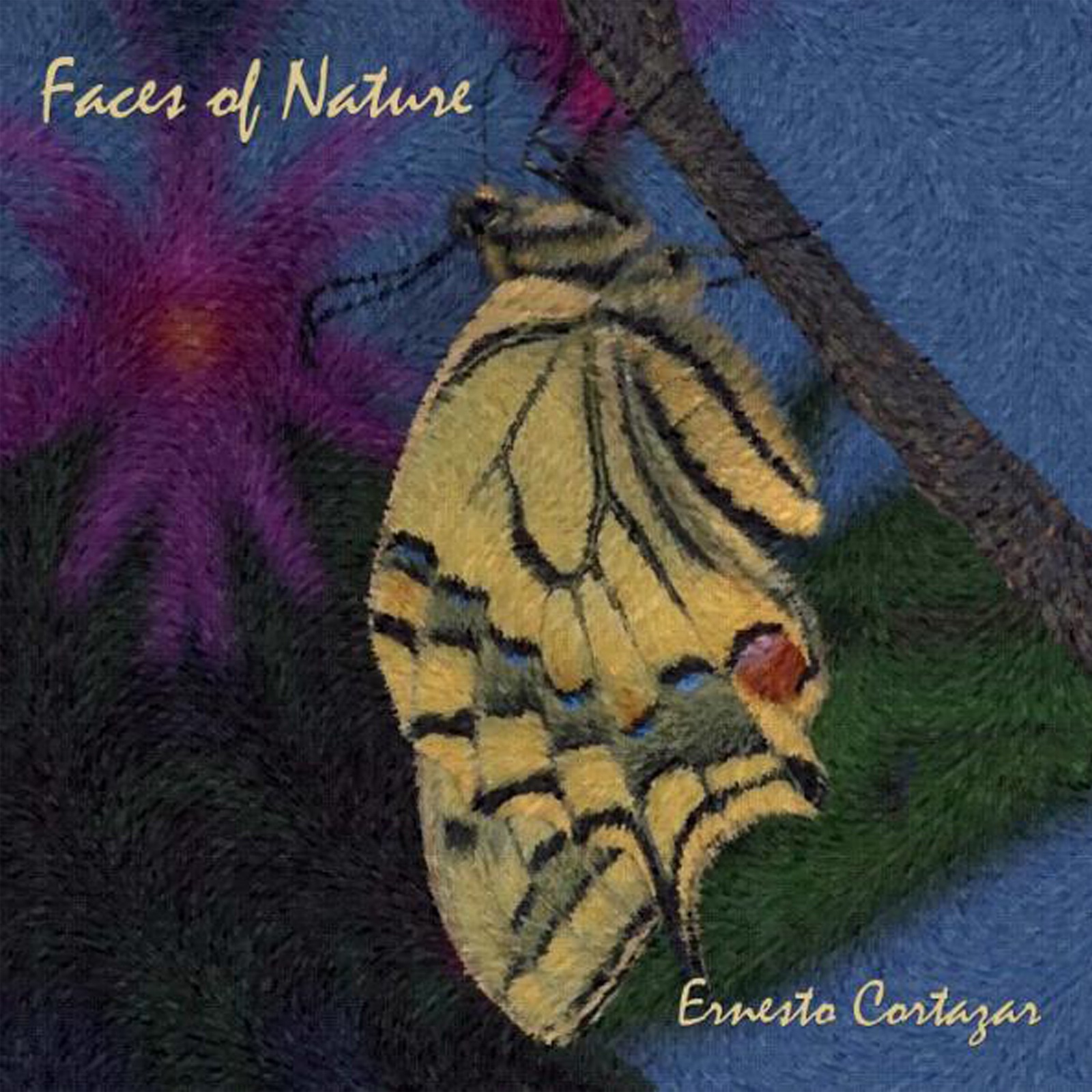 Faces Of Nature album cover