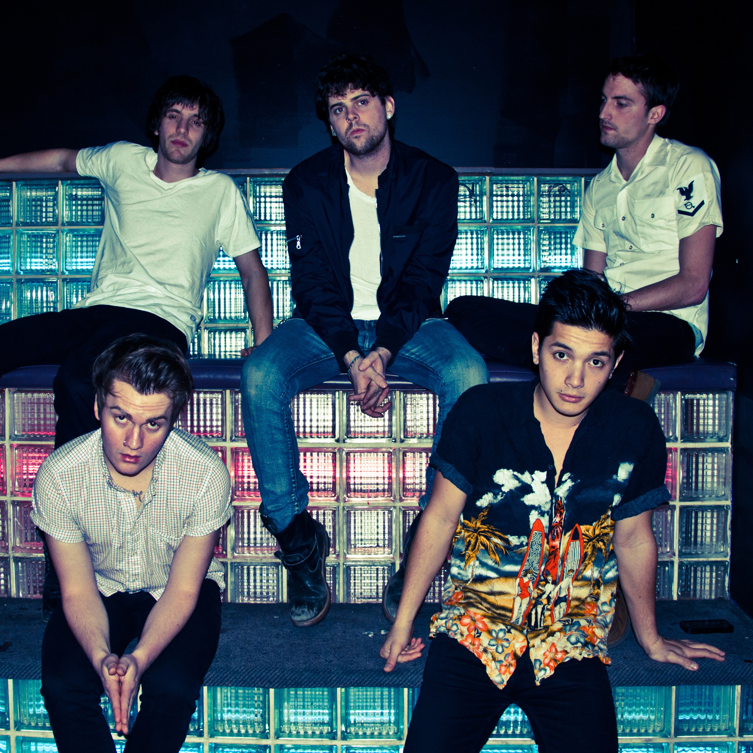 For the Foxes Portrait