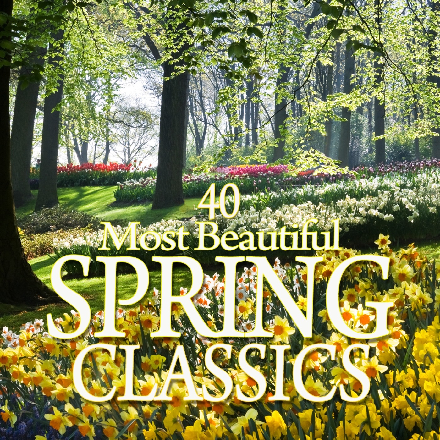 40 Most Beautiful Spring Classics album cover
