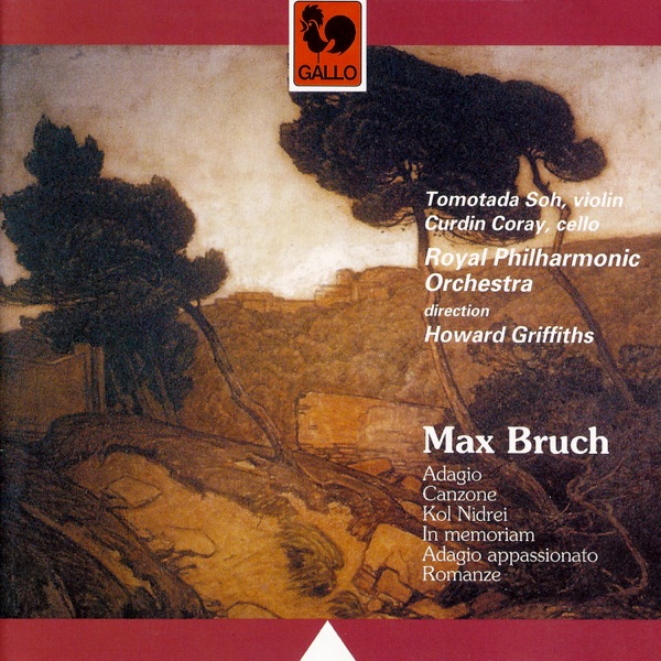 Bruch: Adagio, Canzone, Kol Nidrei, In Memoriam, Adagio Appassionato, Romanze album cover