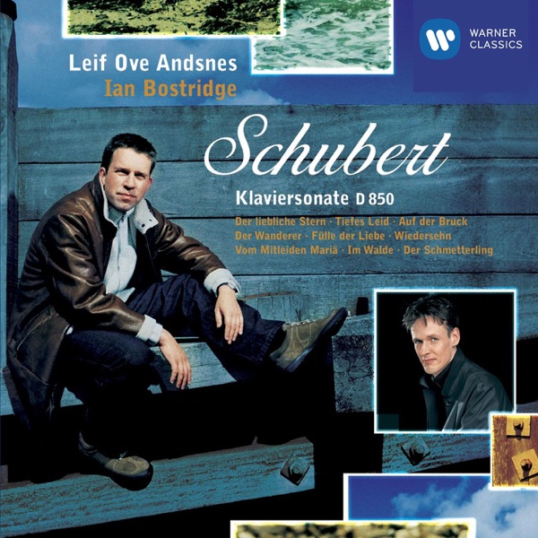 Schubert : Sonata in D Op.53, D850/Lieder album cover