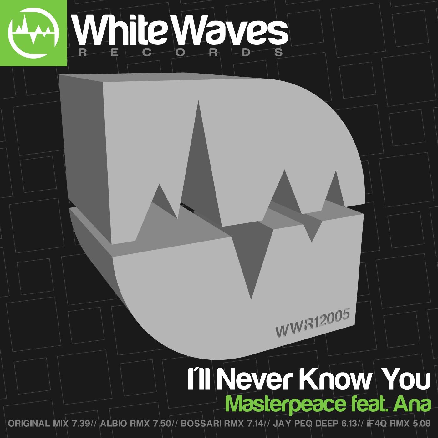 I'll Never Know You (Remixes) album cover