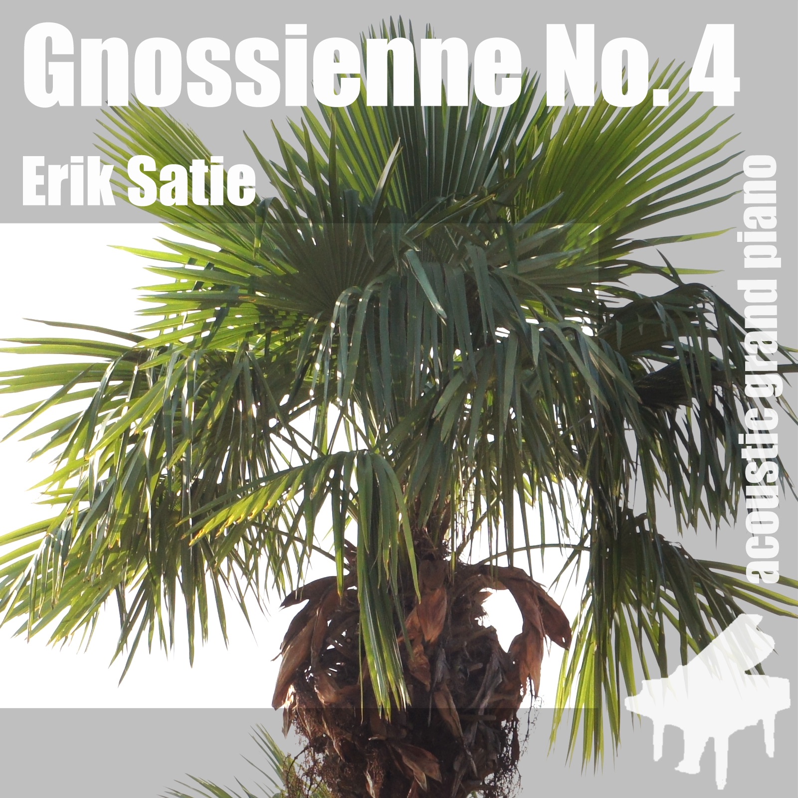 Gnossienne No. 4 , Nr. 4 , 4th - Single album cover