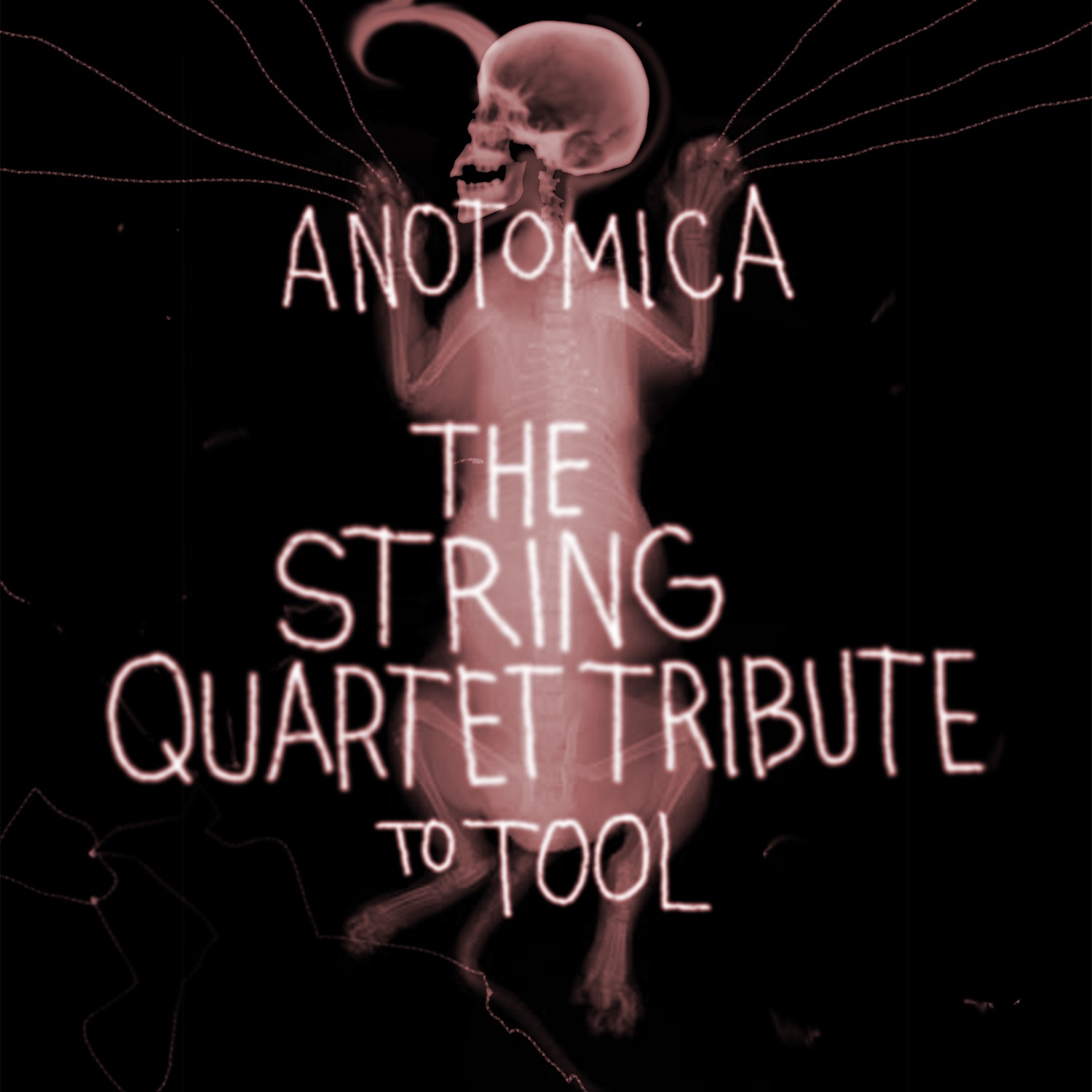 Anotomica - The String Quartet Tribute to Tool album cover