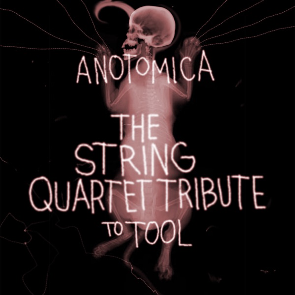 Anotomica - The String Quartet Tribute to Tool album cover