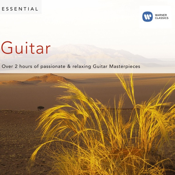 Essential Guitar album cover