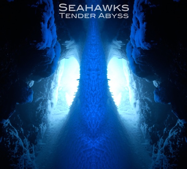 Tender Abyss album cover