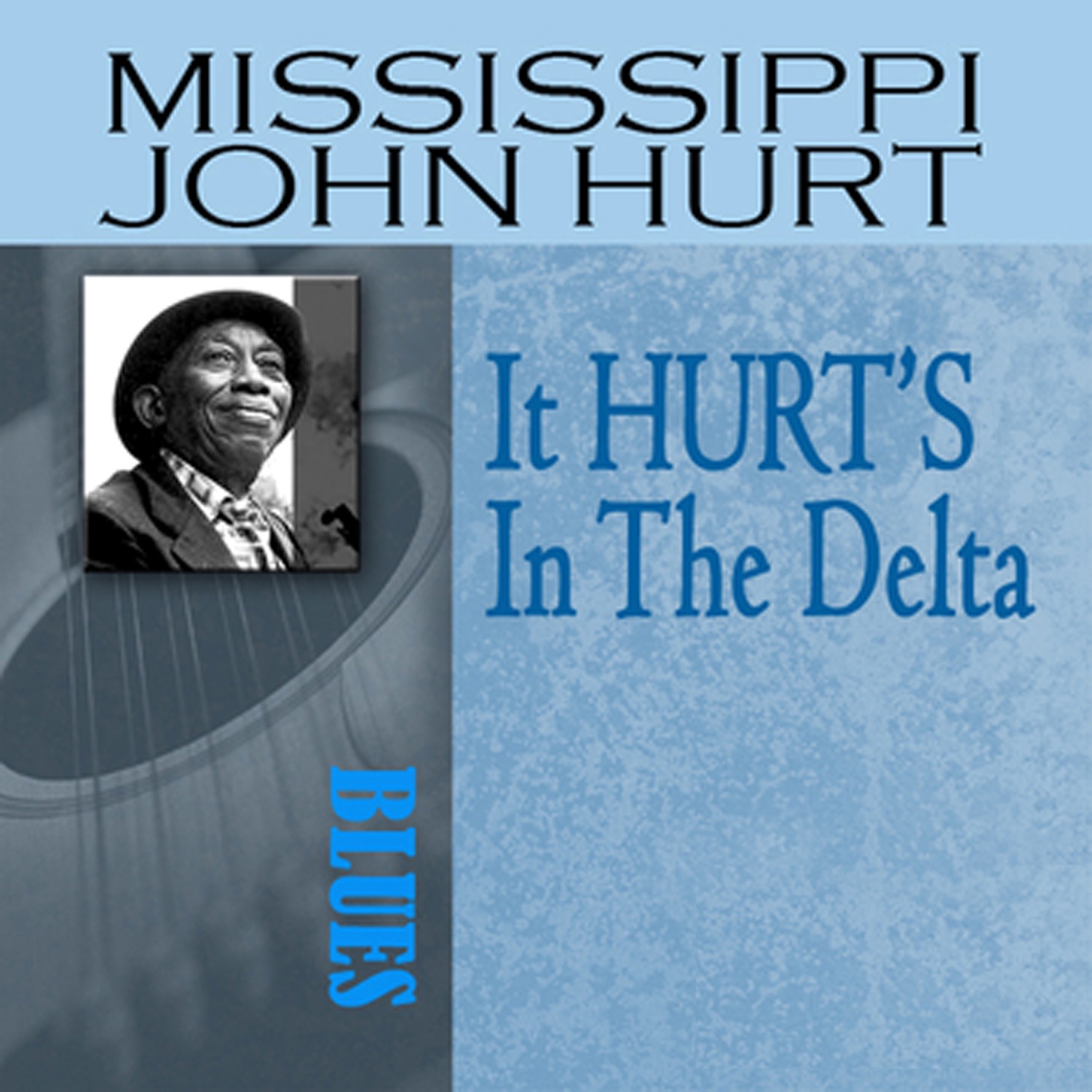 It HURT'S In the Delta album cover