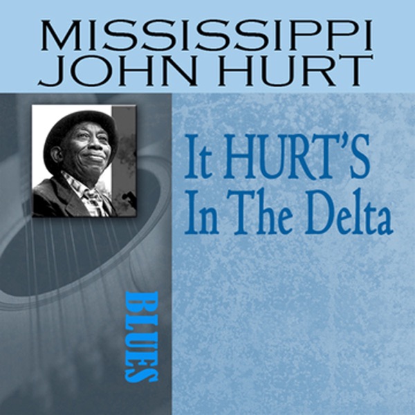 It HURT'S In the Delta album cover