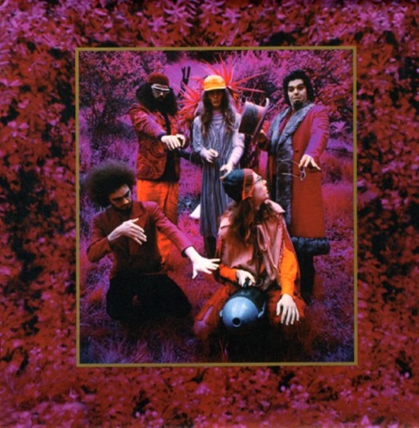 Grow Fins: Rarities 1965-1982 album cover