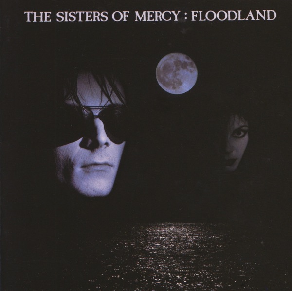 Floodland (Deluxe Version) album cover