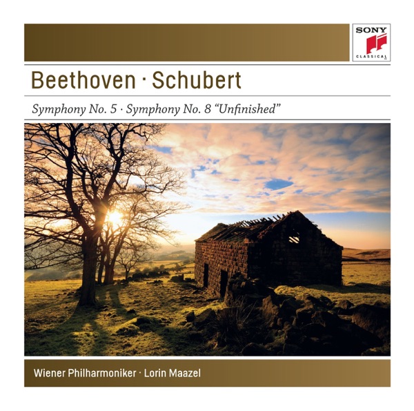 Beethoven: Symphony No. 5 & Schubert: Symphony No. 8 "Unfinished" album cover