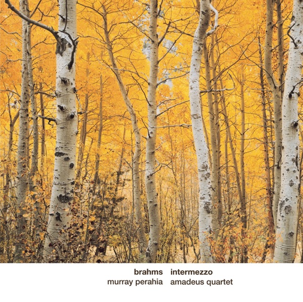 Intermezzo album cover