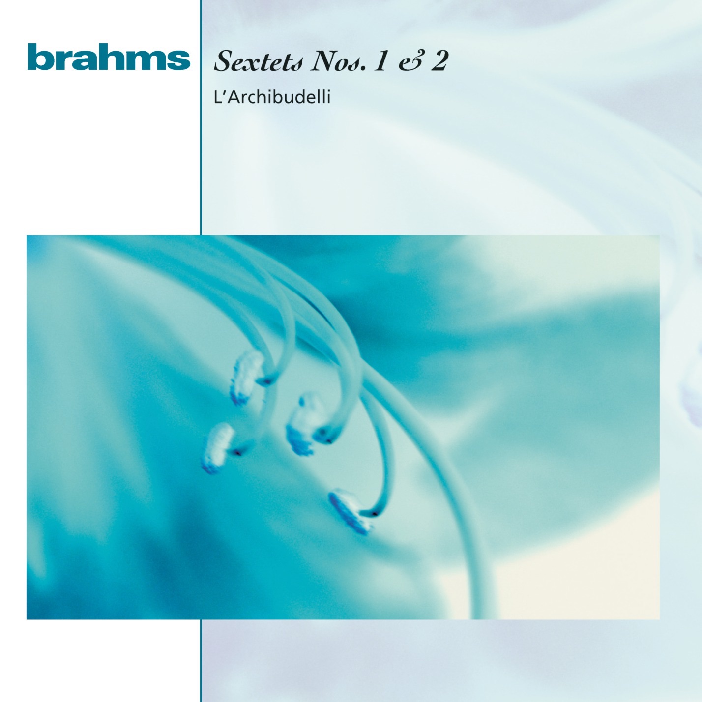 Brahms:  Sextets Op. 18 & Op. 36 album cover