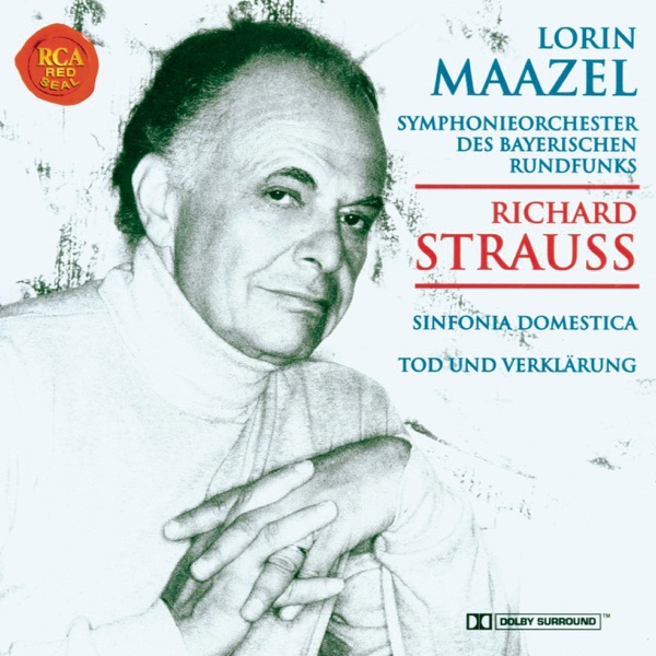R. Strauss: Sinfonia Domestica/Tod und Verklärung album cover