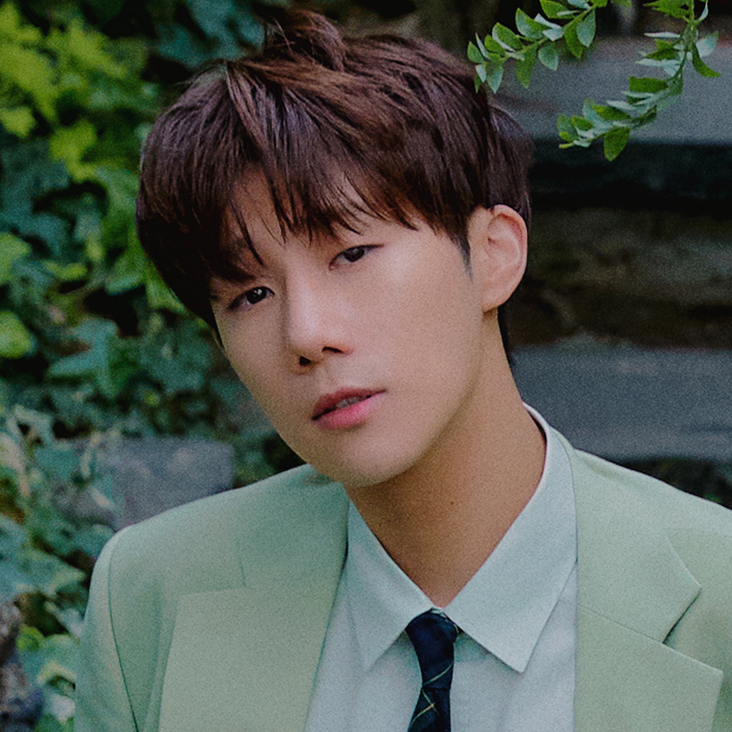 Kim Sung Kyu Portrait