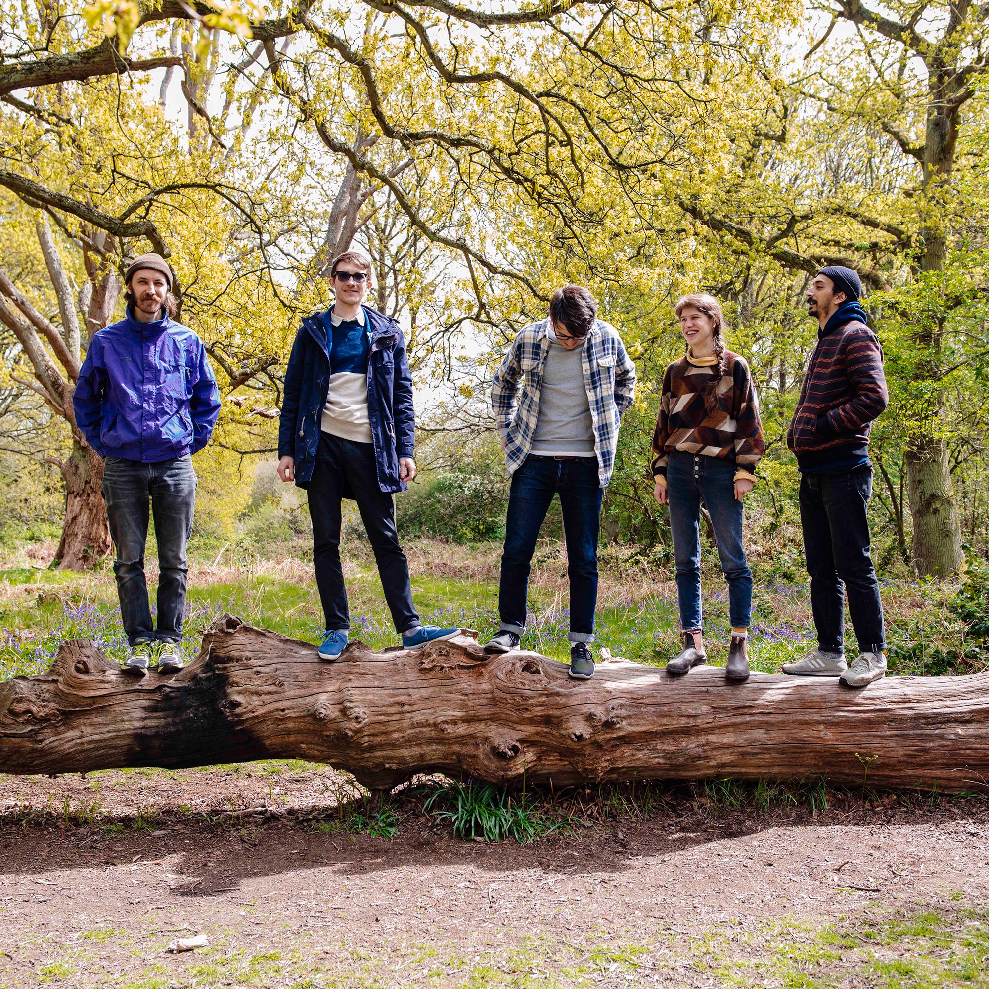 Pinkshinyultrablast Portrait