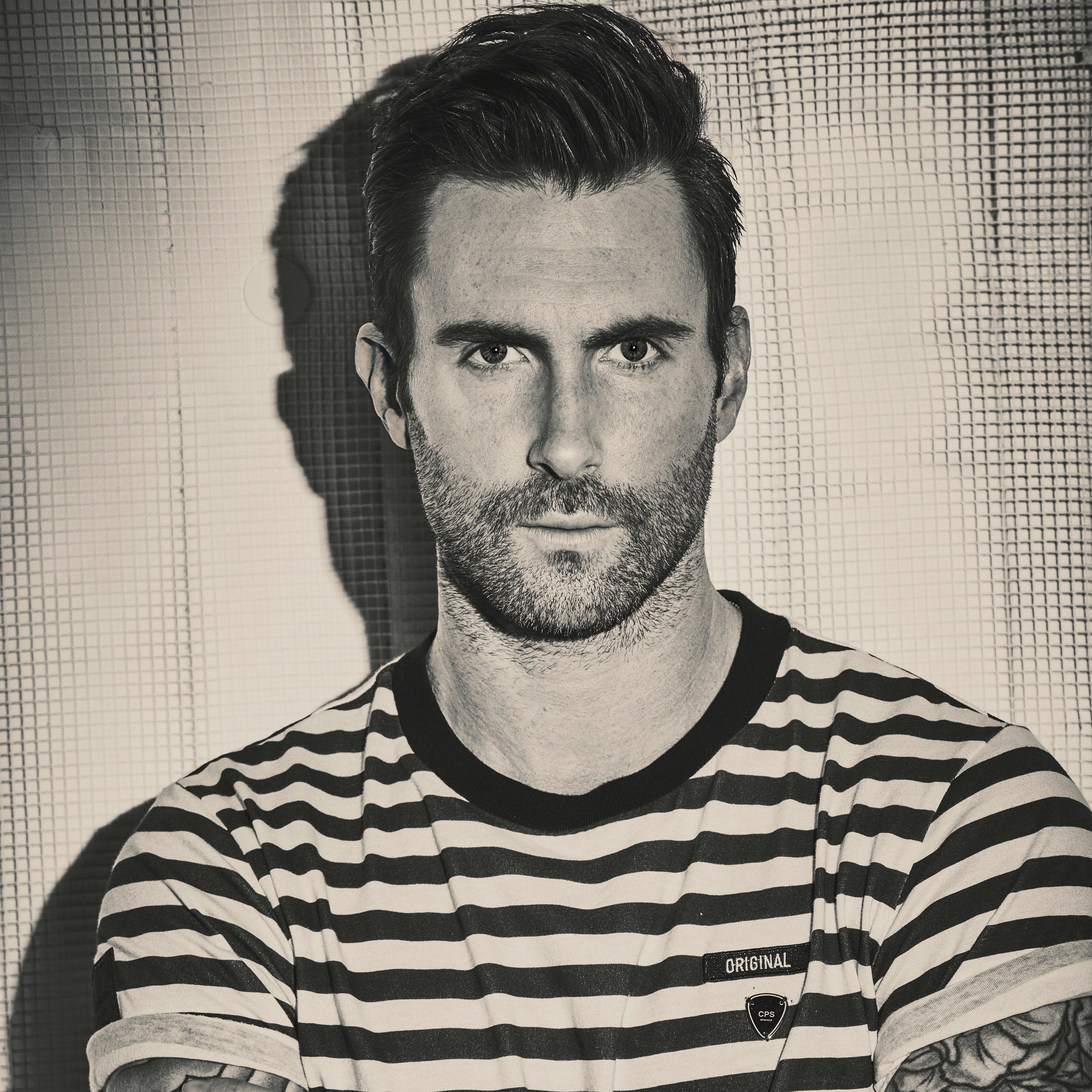 Adam Levine Portrait