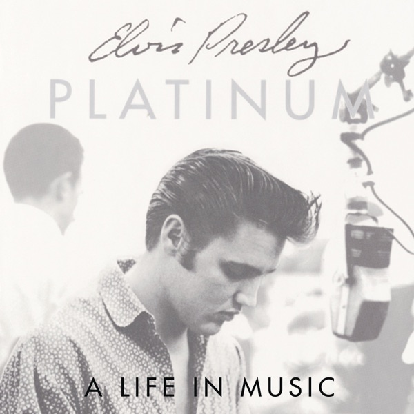 Platinum - A Life In Music album cover
