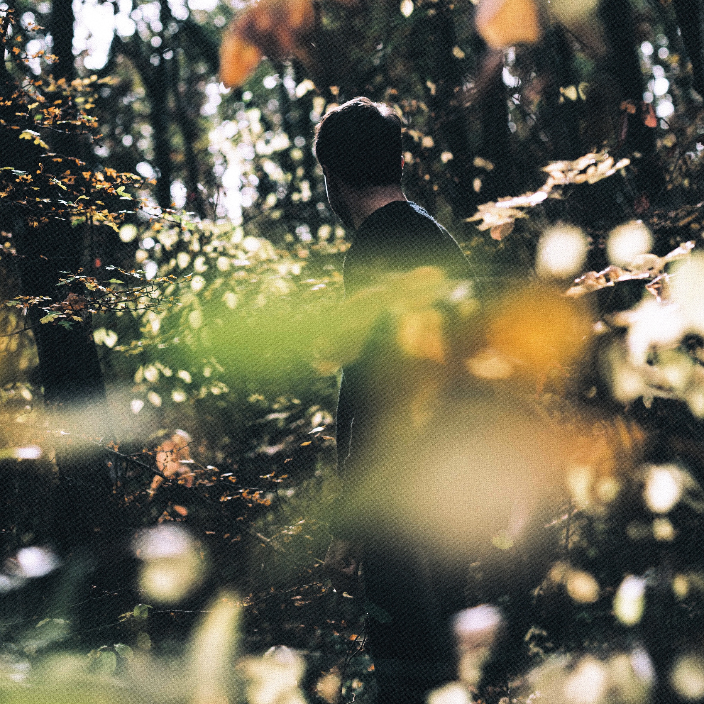 Maenad Veyl Portrait