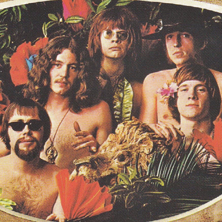 The Lemon Pipers Portrait