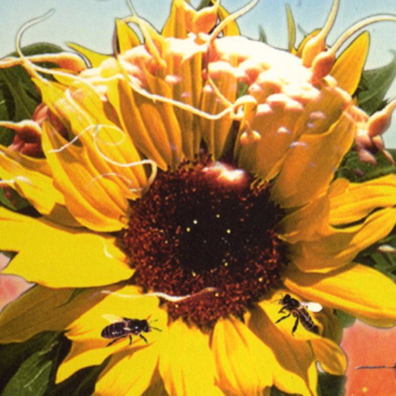 Dance 2 Trance Portrait