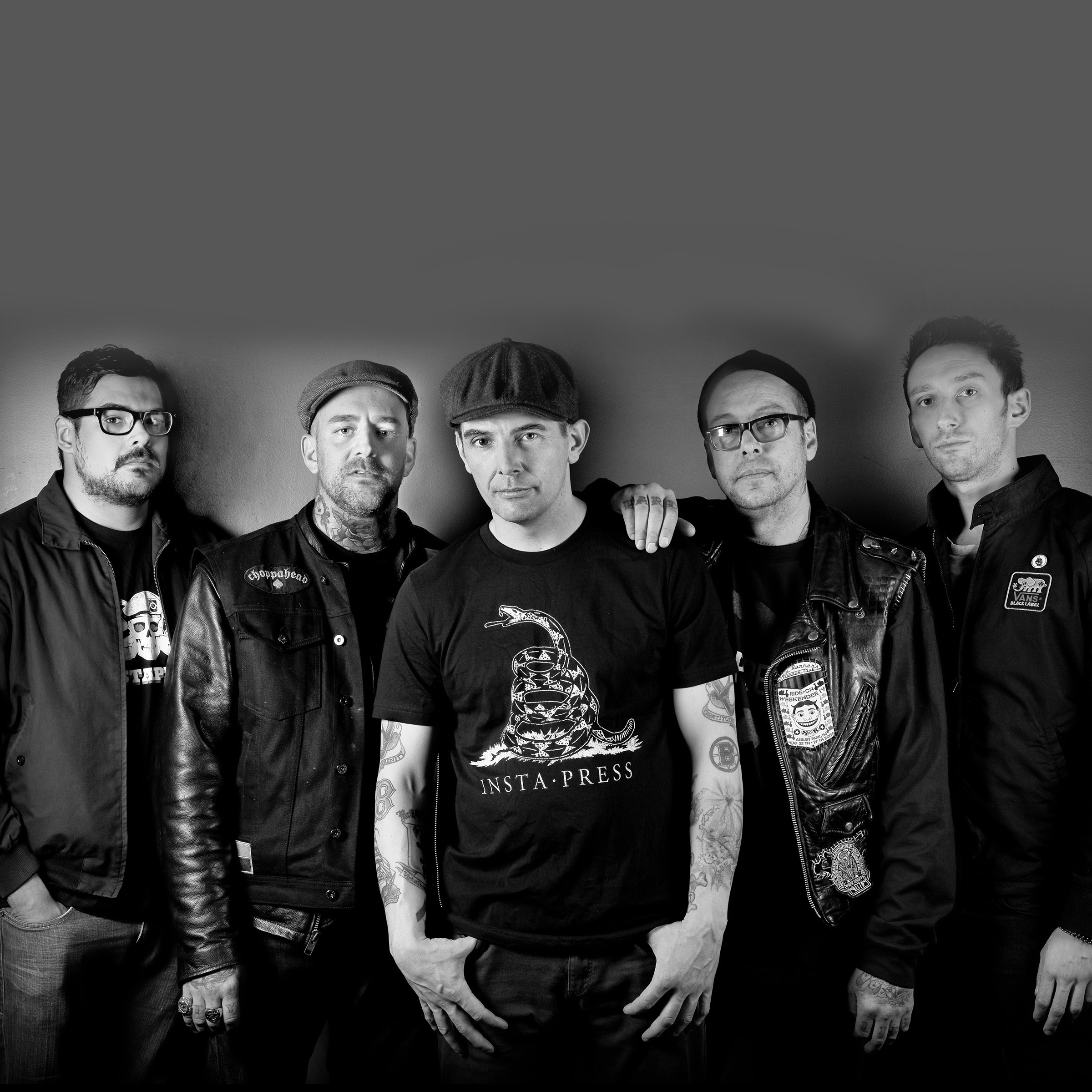 Street Dogs Portrait