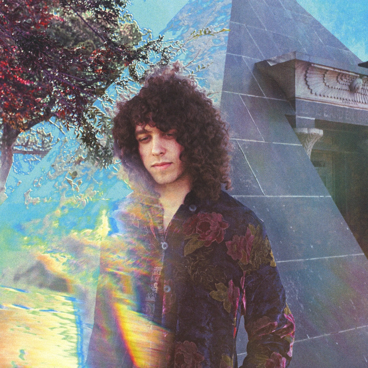 Vinyl Williams Portrait