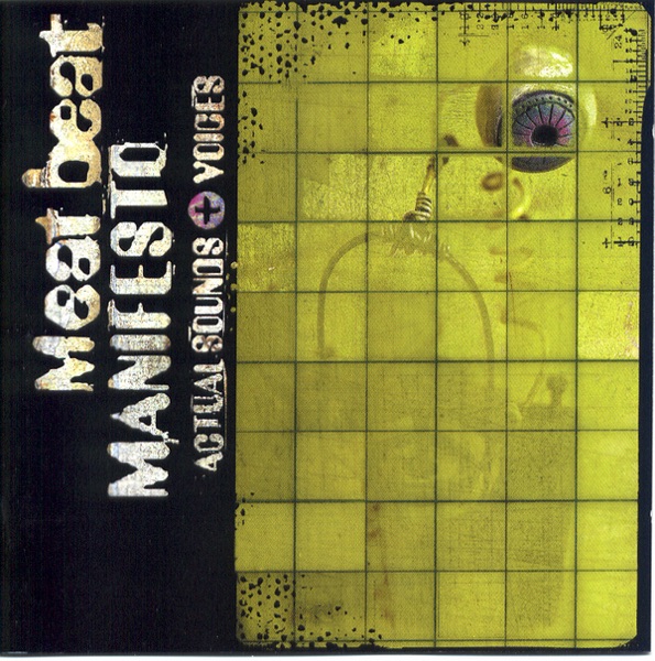 Actual Sounds + Voices album cover