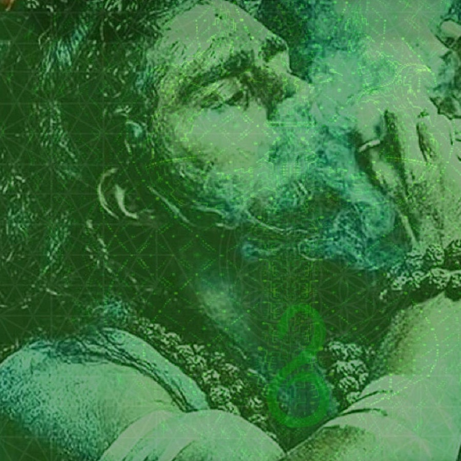 Technical Hitch Portrait