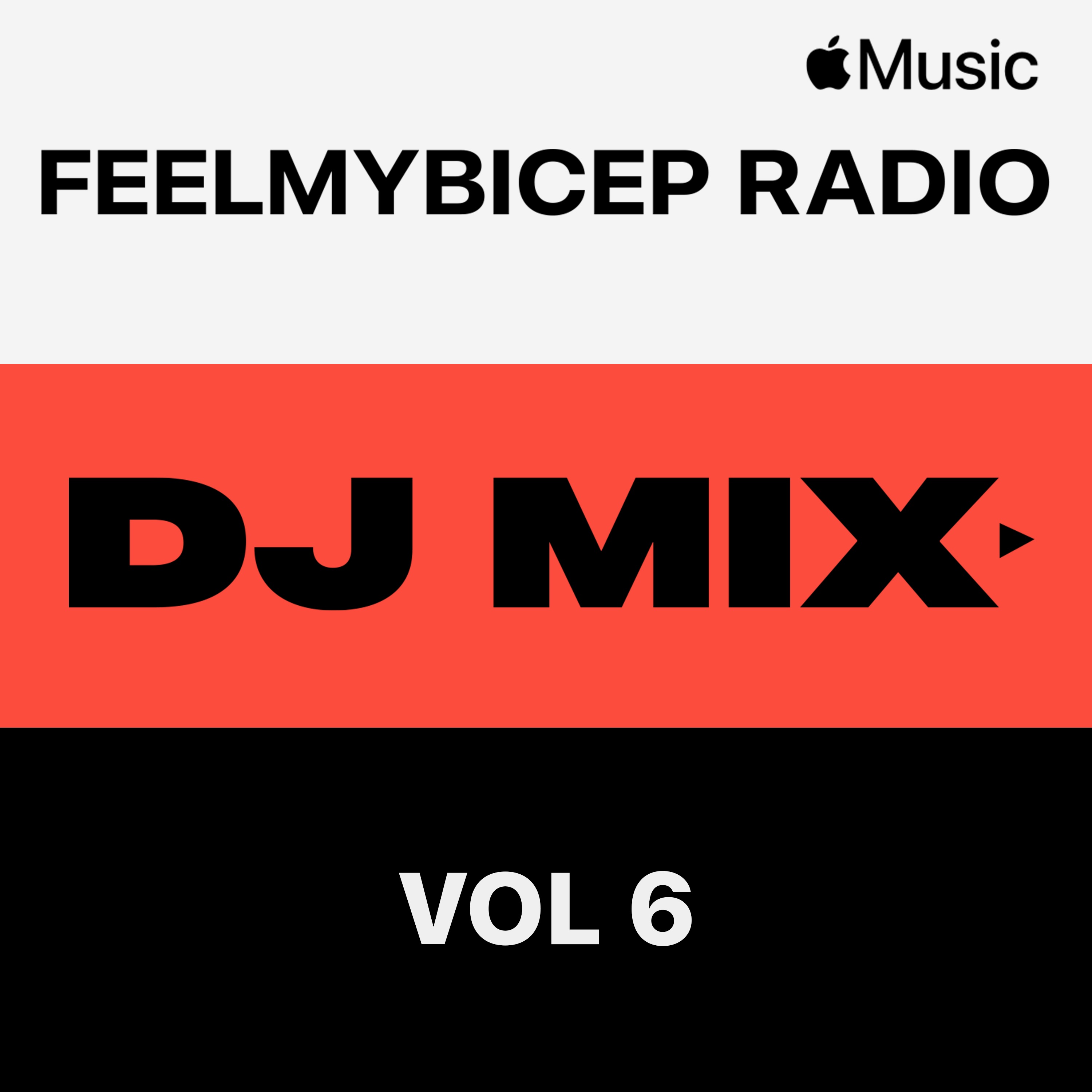 FeelMyBicep Radio, Vol. 6 (DJ Mix) album cover