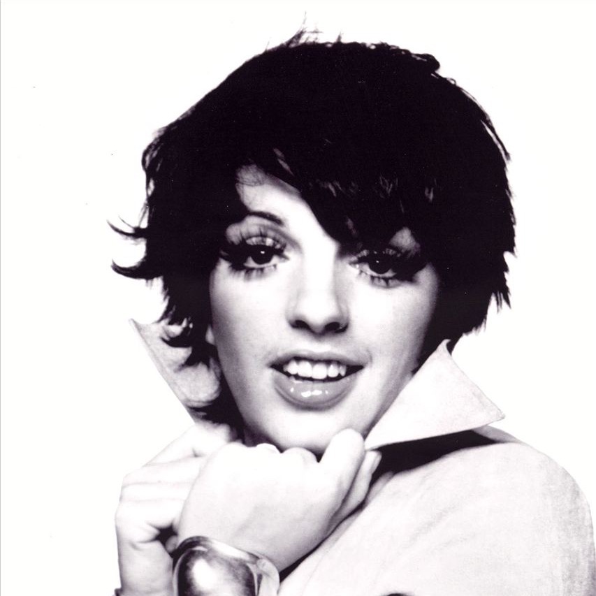 Liza Minnelli portrait