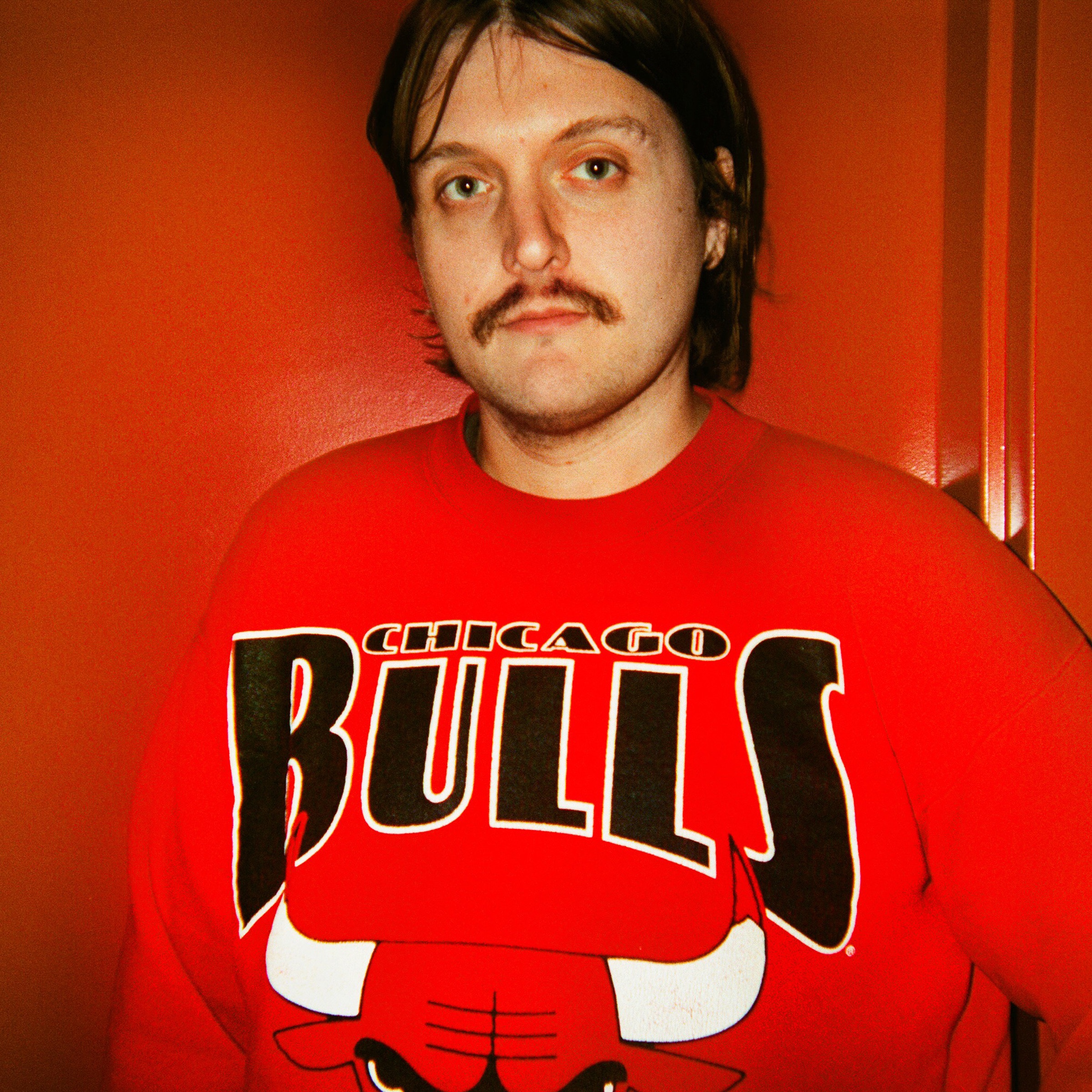 Miniature Tigers Portrait