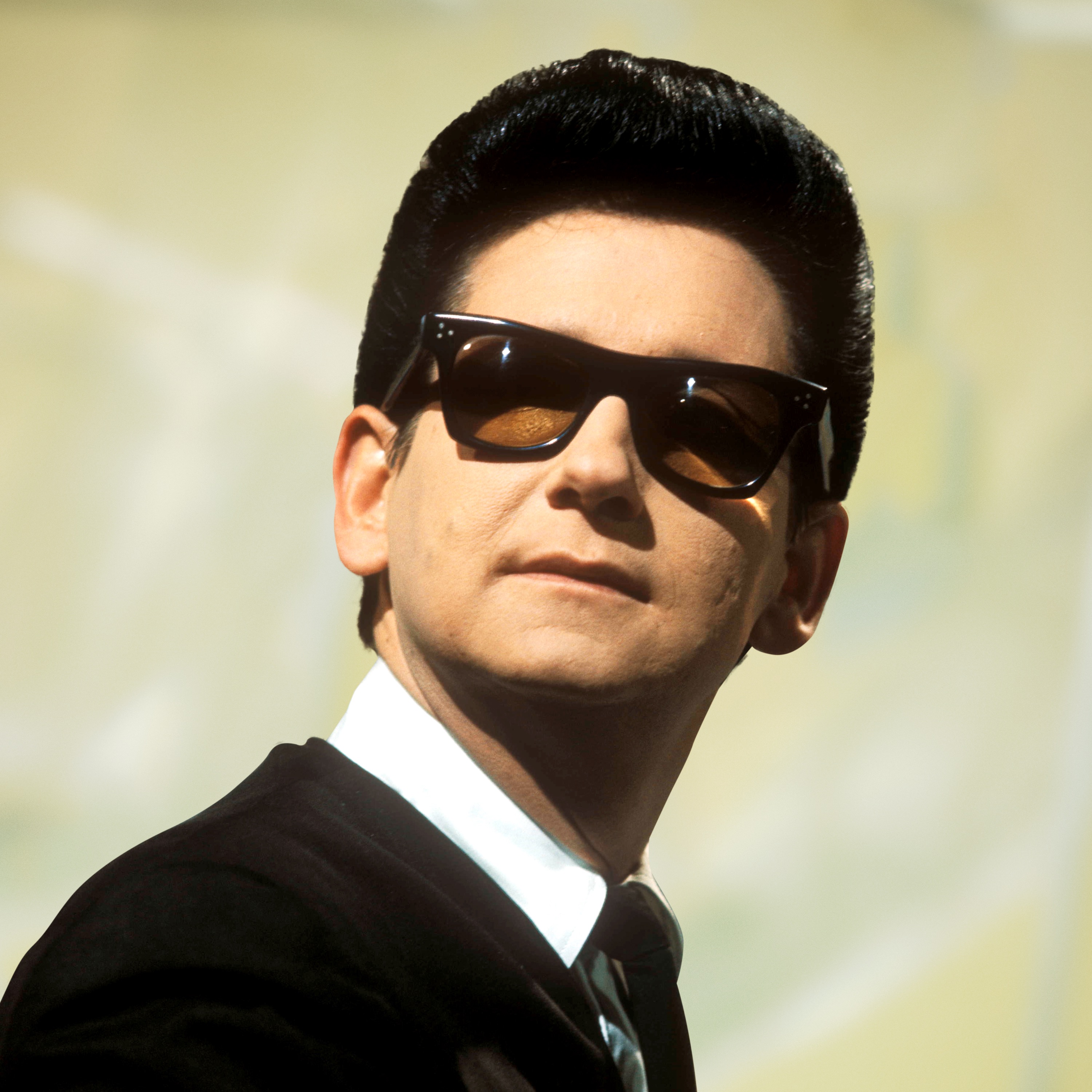 Roy Orbison Portrait