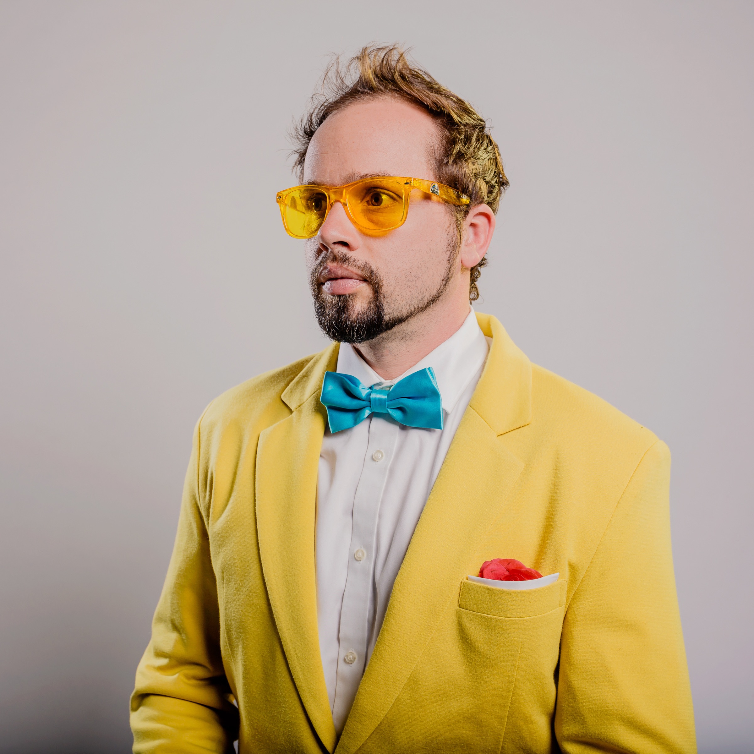 The Polish Ambassador Portrait