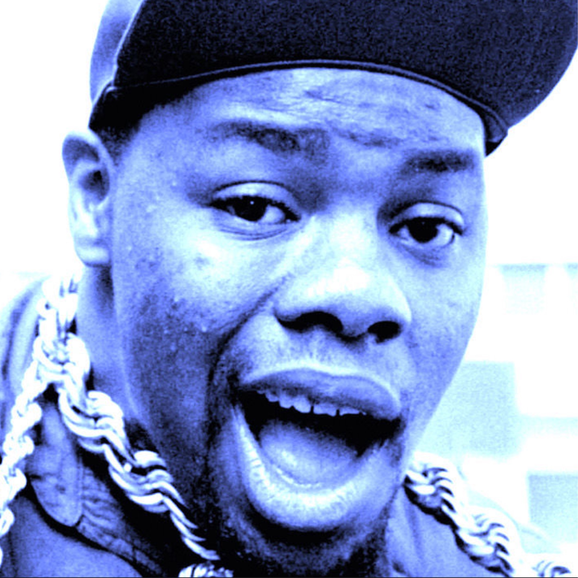 Biz Markie Portrait
