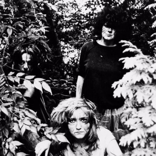 The Slits Portrait
