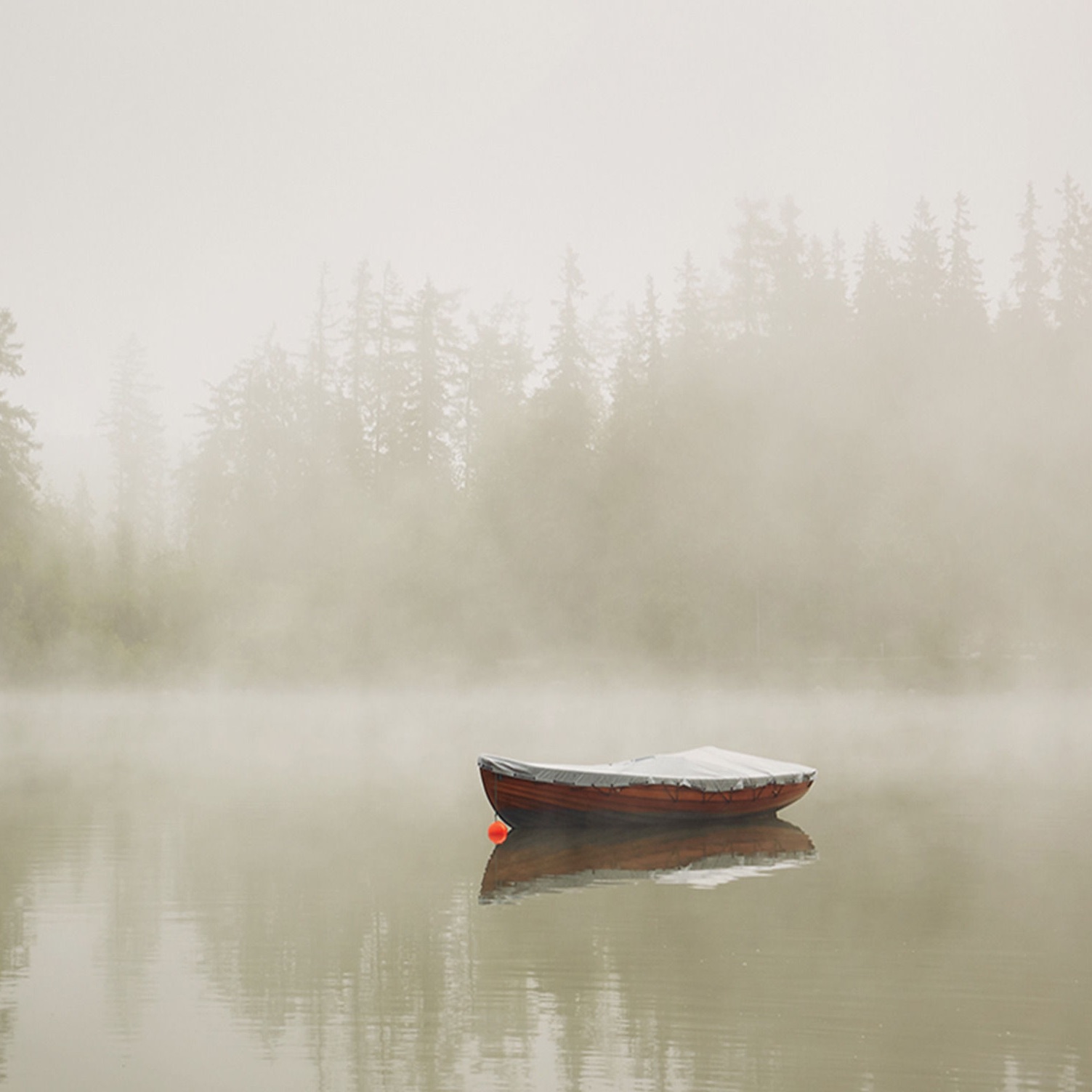 Scripture Lullabies portrait