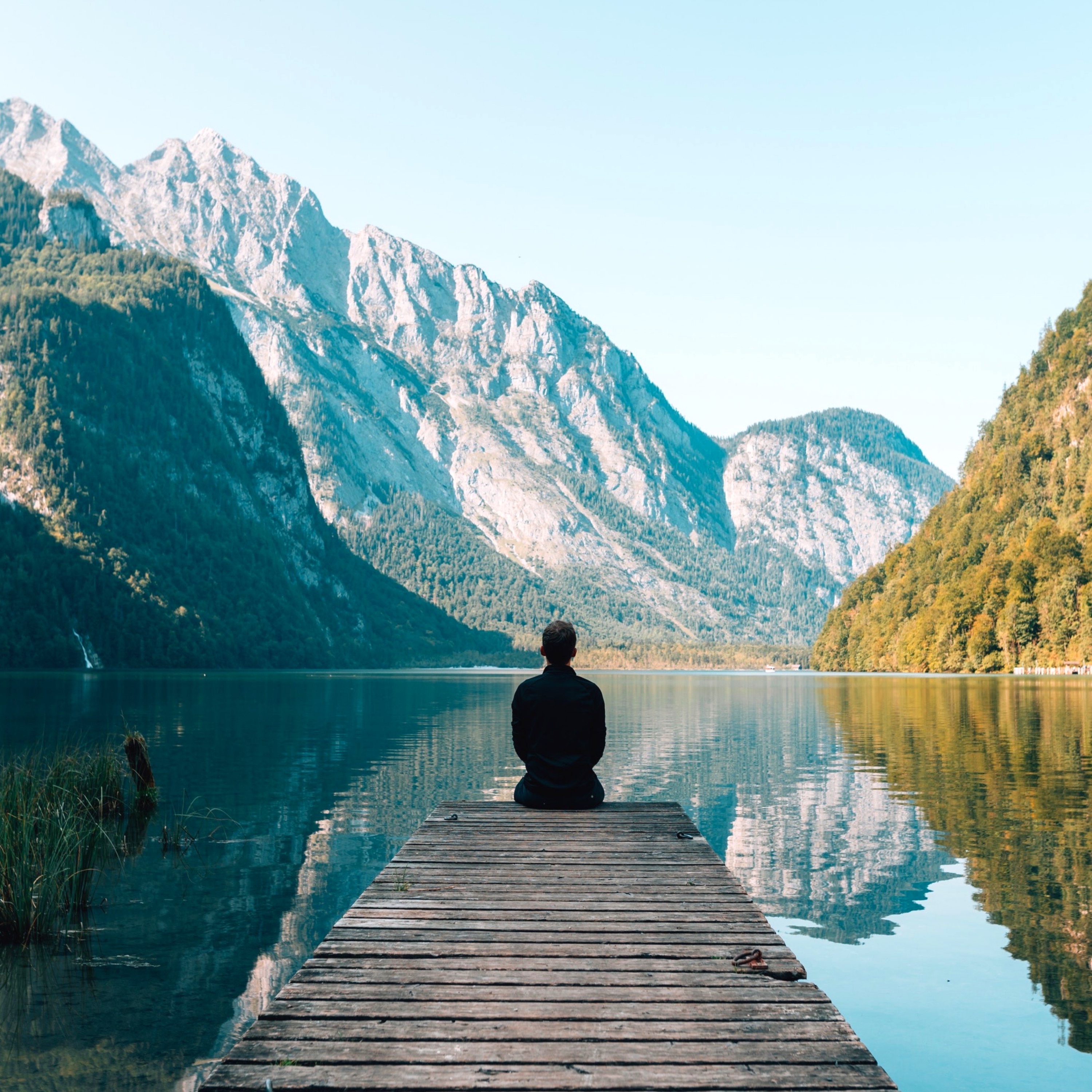 SleepTherapy Portrait