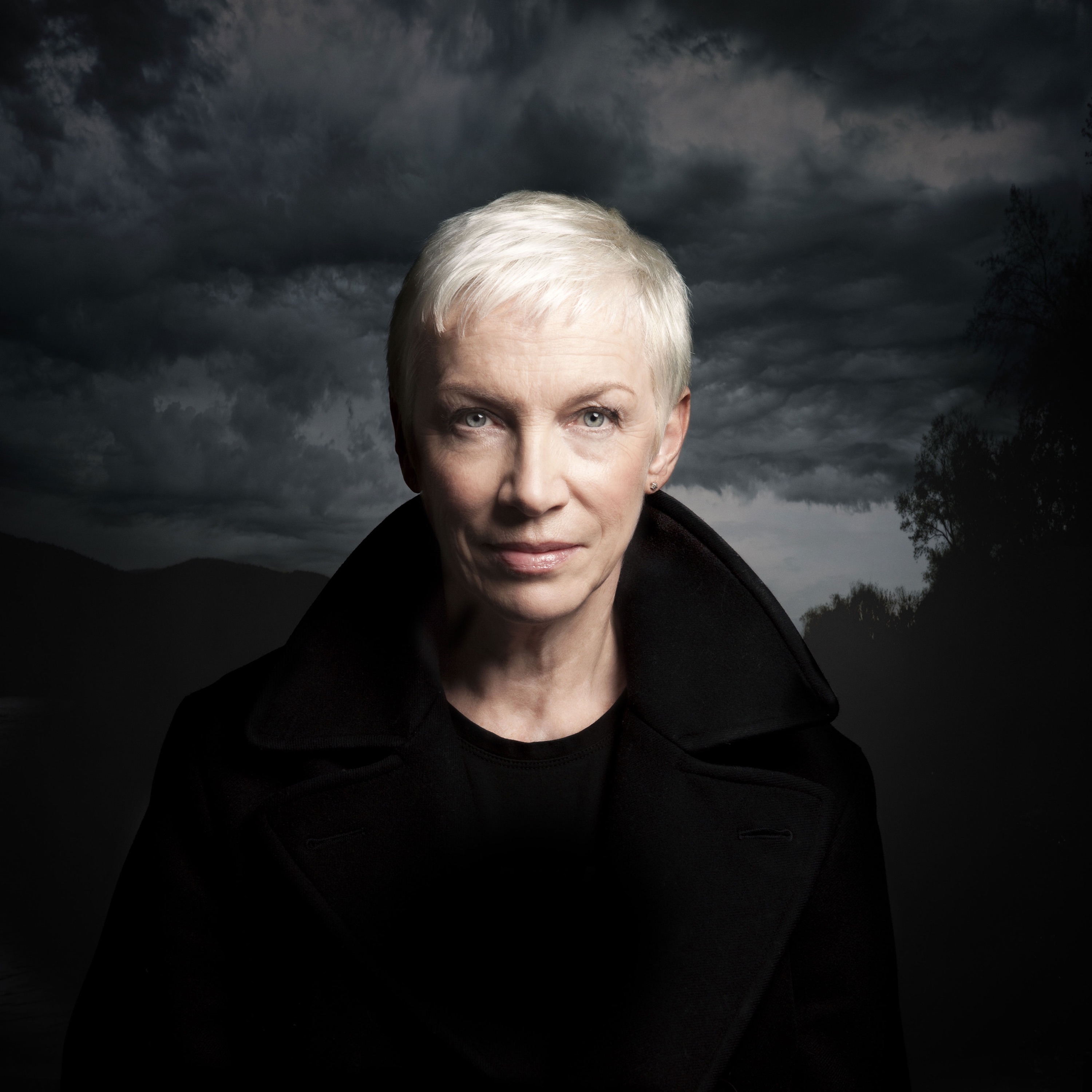 Annie Lennox Portrait