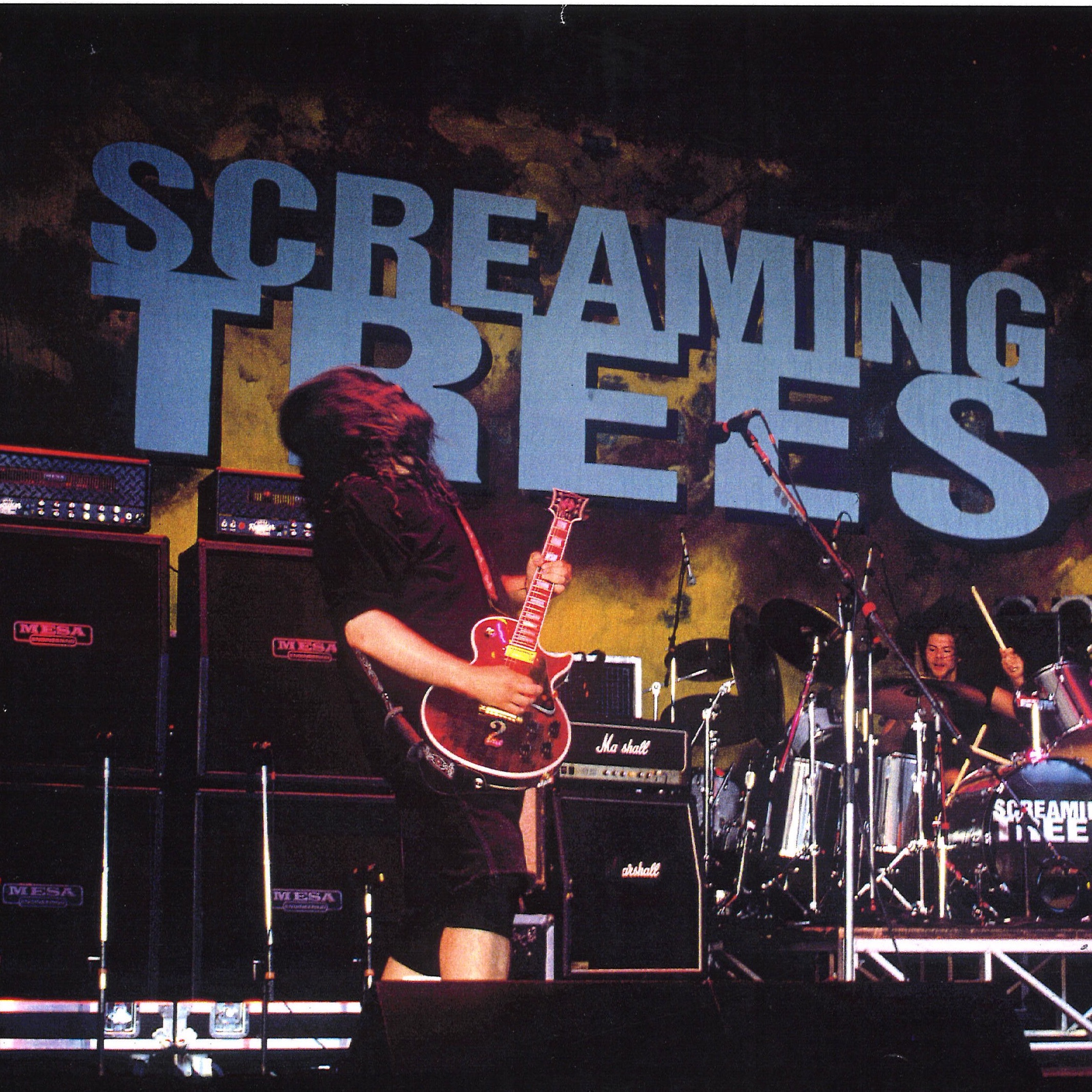 Screaming Trees Portrait