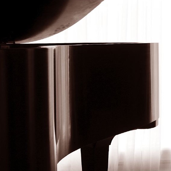 François-Joël Thiollier Portrait