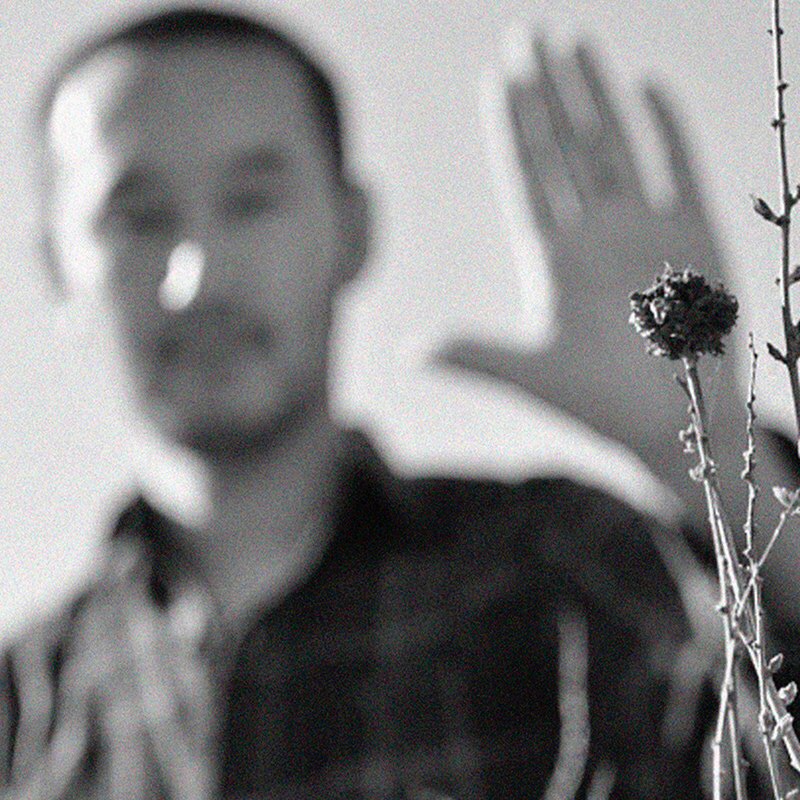 Кот Балу Portrait