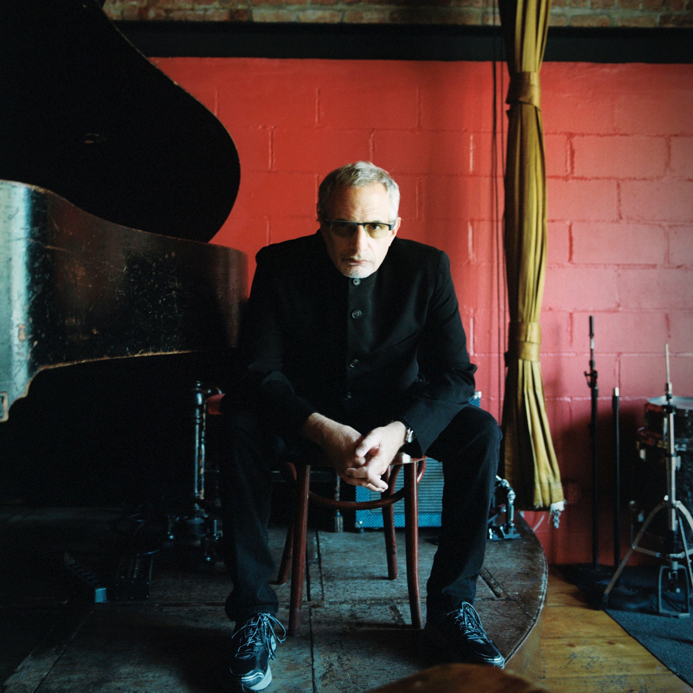 Donald Fagen Portrait