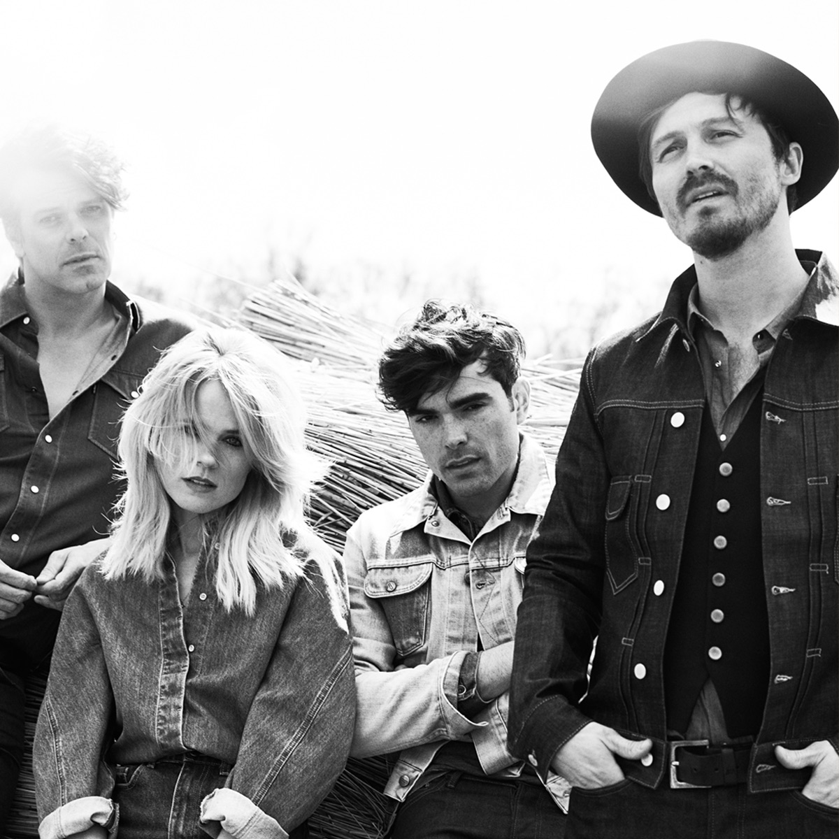 The Common Linnets Portrait