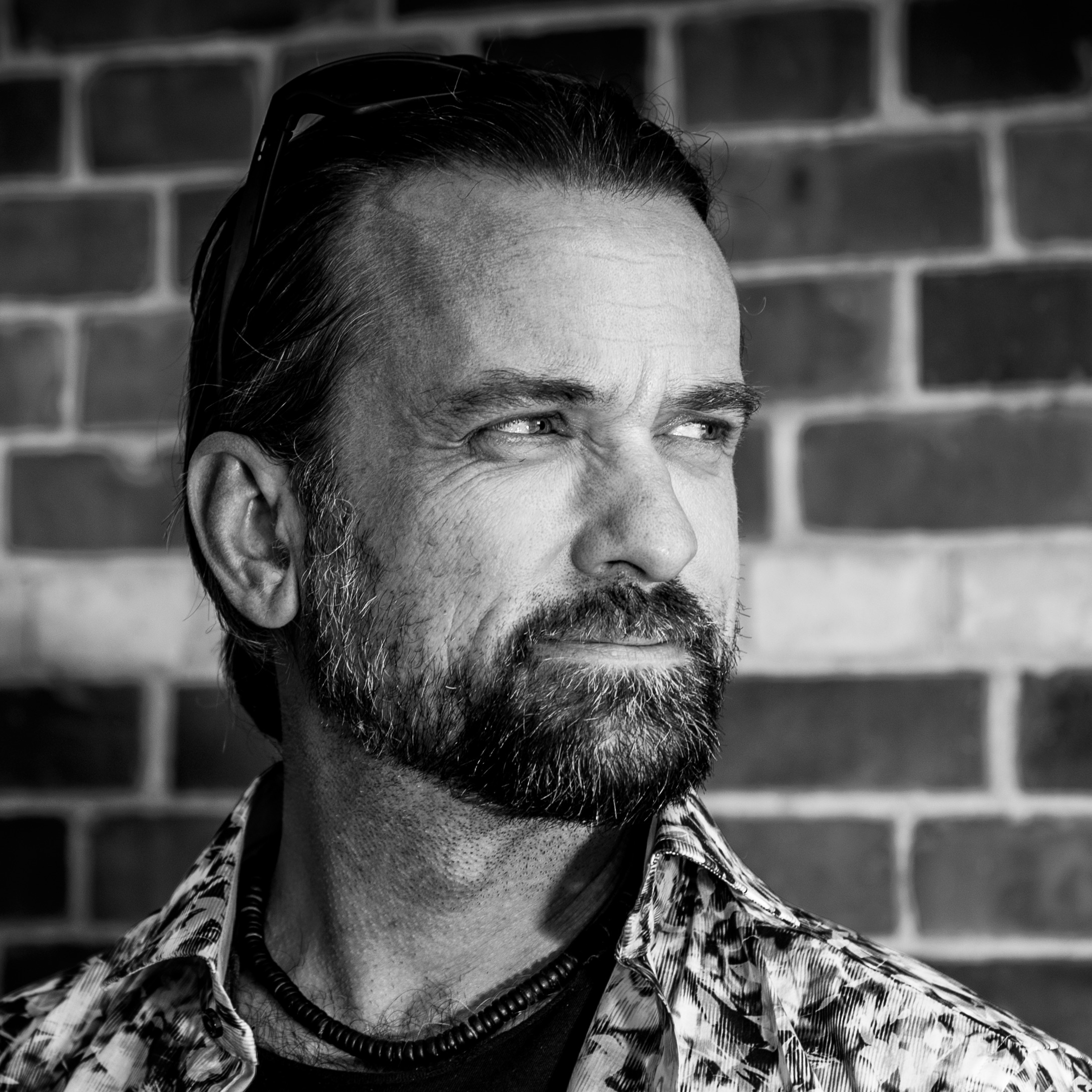 Solar Fields Portrait